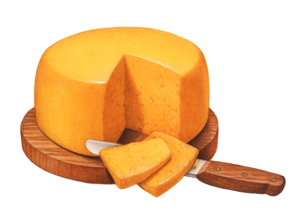 Dairy